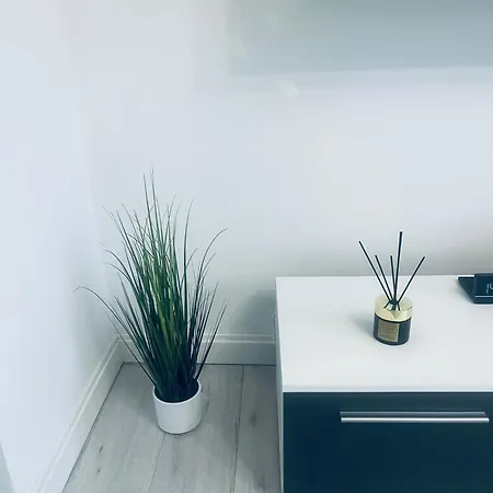 Silver Apartament Катовіце Екстер'єр фото